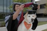 Собаке присвоили докторскую степень. ФОТО