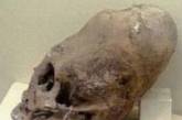 В Антарктиде обнаружены черепа инопланетян