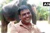 Индиец завещал половину своего состояния двум слонам. ФОТО