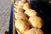 Россия запретила украинскую картошку  
