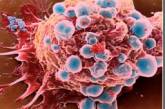 Раковые клетки маскируются под лимфатические узлы 