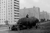 Москва 1960-1980-х годов на снимках. ФОТО