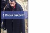 «Сосны есть?»: пользователи сети ответили фотожабами на видеоскандал