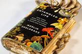 Биолог съел вешенки, выращенные на его книге о грибах. ВИДЕО