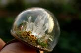 Кольца из стеклянных шаров с частичками природы. ФОТО