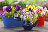 Классные идеи, которые вдохновят вас устроить сад прямо у себя дома. ФОТО