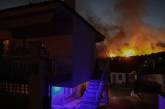 В Греции вспыхнул масштабный лесной пожар. ФОТО
