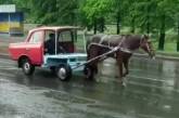 По улицам Ровно курсирует конь, запряженный в корпус «Москвича»