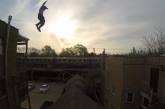 Видео прыжка жителя Чикаго с крыши стало хитом на Youtube