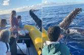 Дружелюбный кит поздоровался с туристами на лодке. ВИДЕО