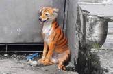 Посреди улицы заметили тигра, но это оказалось совсем другое животное. ФОТО