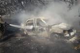 Под Днепром во время тушения сухой травы обнаружили труп мужчины в горящей машине. ФОТО