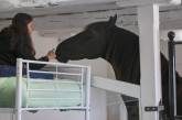 В Великобритании открылся отель с лошадьми. ФОТО