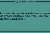 Позитивное начало дня: утренние анекдоты. ФОТО