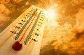 Как пережить жару в городе: советы врачей