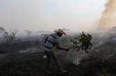 Как пожары в Пантанале разрушают среду обитания редких видов животных. ФОТО