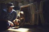 «Пес любит тебя даже в тюрьме»: как помогают друг другу заключенные и бездомные собаки. ФОТО