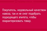 Пускай улыбка не сходит с лица: анекдоты для хорошего настроения. ФОТО