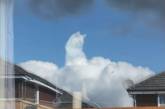 Сидела на облачках: девушка с помощью оптической иллюзии превратила домашнюю кошку в божество. ФОТО