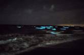 В Одессе ночное море окрасилось светло-голубым сиянием. ФОТО