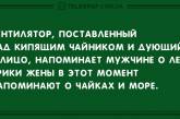 Начни свой день с улыбки: анекдоты для хорошего настроения