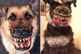 Жутковатый намордник для собак на Хэллоуин. ФОТО
