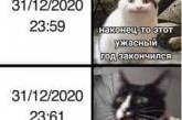 "Ну, давай, удиви еще": беды 2020 года в Украине и мире высмеяли меткими фотожабами