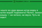 Порция хорошего настроения: позитивные анекдоты на утро. ФОТО