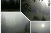 Сеть впечатлили снимки Карпат во время тумана. ФОТО