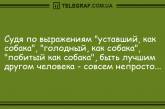 Все улыбнулись: бодрящая подборка анекдотов 