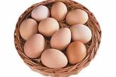 Куриные яйца помогут похудеть