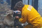 20 смелых пожарных, которые рисковали своей жизнью, чтобы спасти животных. ФОТО