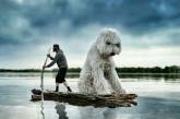 Серия приключений мастера Фотошопа и его прекрасной двухметровой собаки. ФОТО