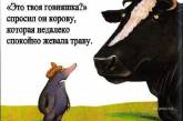 "Плыл медведь в сковороде по кудрявой каше" - маразмы из детских книг