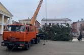 "Какая разница?": в центре города на Ривненщине установили елку с кладбища. ФОТО