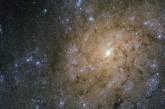 Снимок галактики с микроквазаром. ФОТО