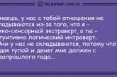 Этот прикол тоску поборол: лучшие анекдоты