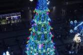Украинцы выбрали самые красивые новогодние елки страны. ФОТО
