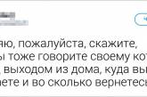 Твиты о том, что говорят люди своему коту перед уходом из дома. ФОТО