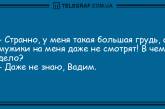 Разбавьте вечер яркими красками: юморные анекдоты. ФОТО