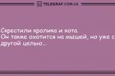 Шутки-прибаутки: порция юморных анекдотов, которые поднимут настроение каждому. ФОТО