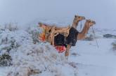 Снег выпал в пустыне Сахара и в Саудовской Аравии. ФОТО