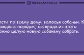 Не грусти, а позитив в сердце пусти: подборка смешных анекдотов. ФОТО