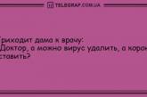 Этот прикол оценил даже слон: анекдоты для хорошего настроения. ФОТО