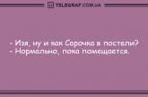 Смех без причины - признак хорошего настроения: новые анекдоты