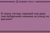 Пусть вечер будет позитивным: забавные анекдоты. ФОТО