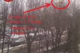 Летел из окна: в Киеве на дереве застрял диван. ФОТО
