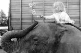Маленькая девочка и её друг слон на старых снимках. ФОТО