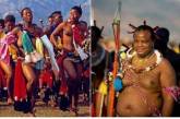 Праздник тростника и парад девственниц в Свазиленде. ФОТО