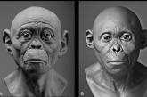 Ученые воссоздали облик древних предков человека. ФОТО